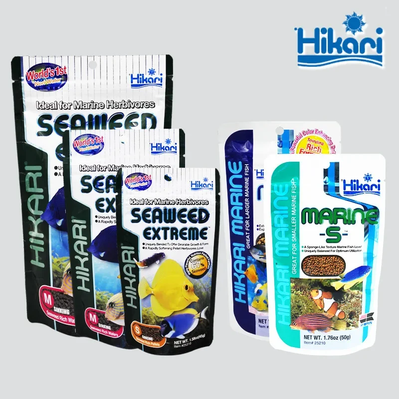 Marine Aquarium Aquascape - هيكاري البحرية المياه المالحة حوض السمك