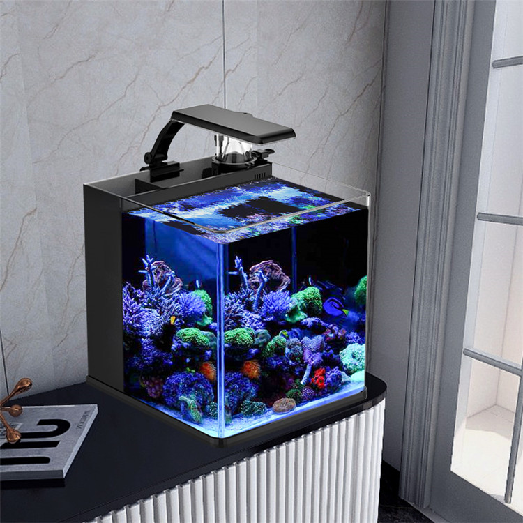 Marine Aquarium In Clearwater - زجاج فائق الوضوح صغير للمياه المالحة