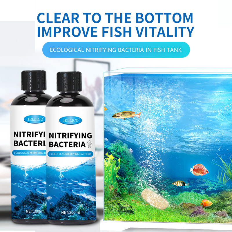 Marine Aquarium In Clearwater - 300 مل من البكتيريا النترية لتنقية