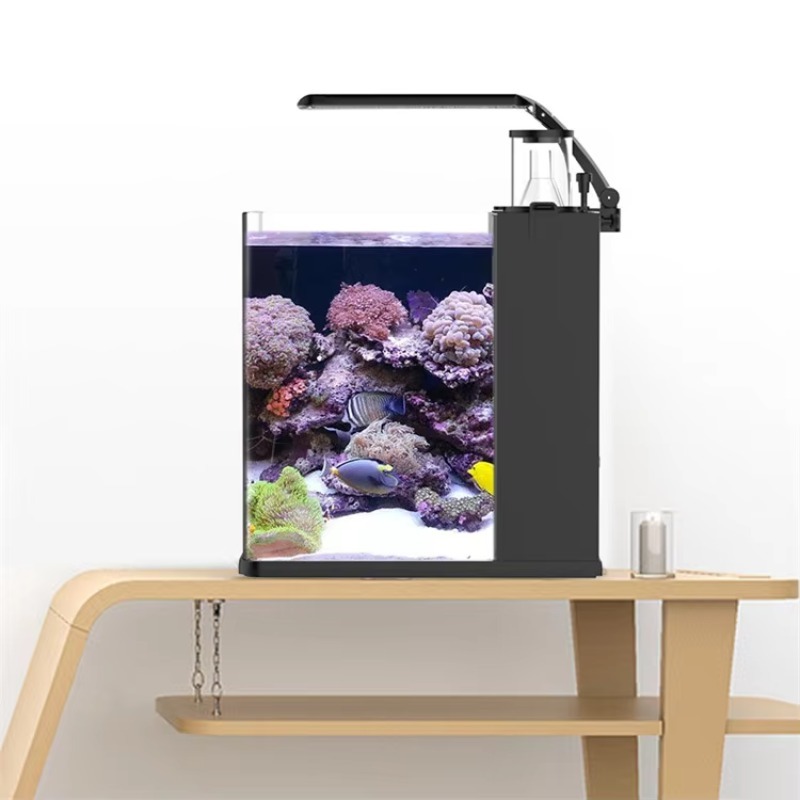 حوض أسماك ميني من الزجاج فائق  - مراجعة Marine Aquarium In Clearwater وسعره