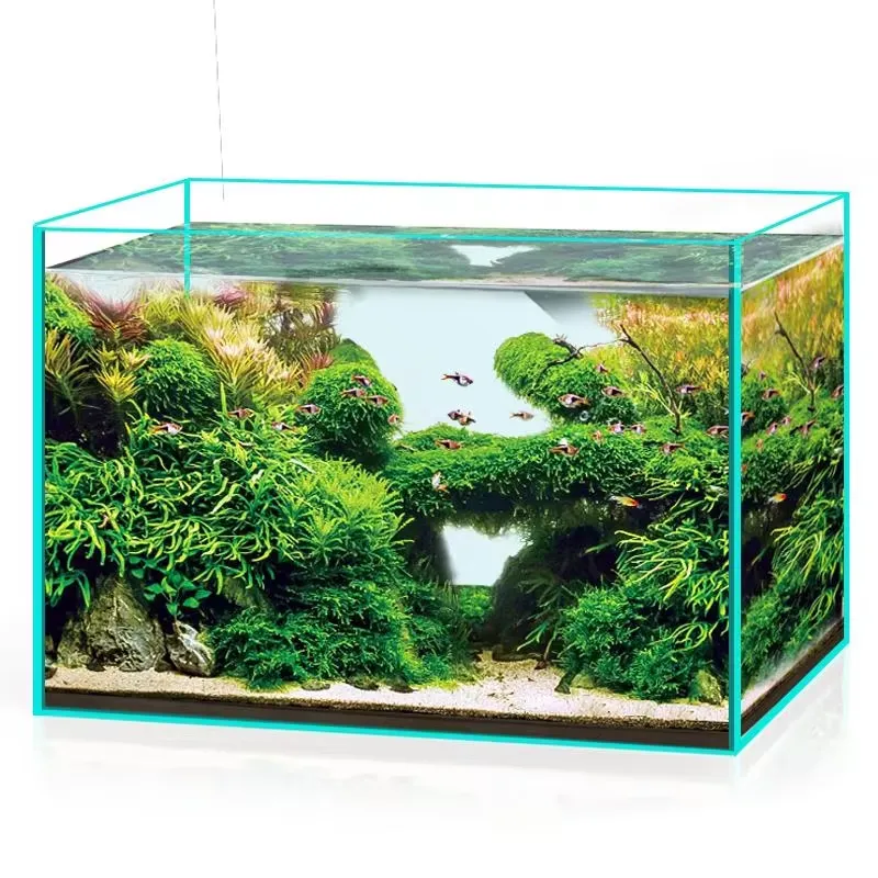حوض سمك زجاجي فائق الوضوح لجمي - مراجعة Marine Aquarium In Clearwater وسعره