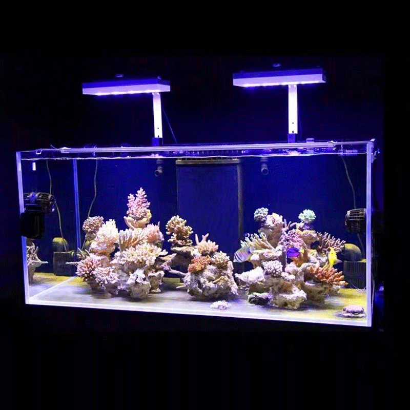 إضاءة مائية AI Hydra 32HD/64HD - مراجعة Marine Aquarium Led Lights وسعره