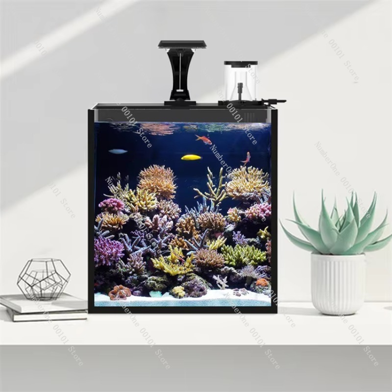 حوض سمك بحري صغير من الزجاج فا - مراجعة Marine Aquarium In Clearwater وسعره