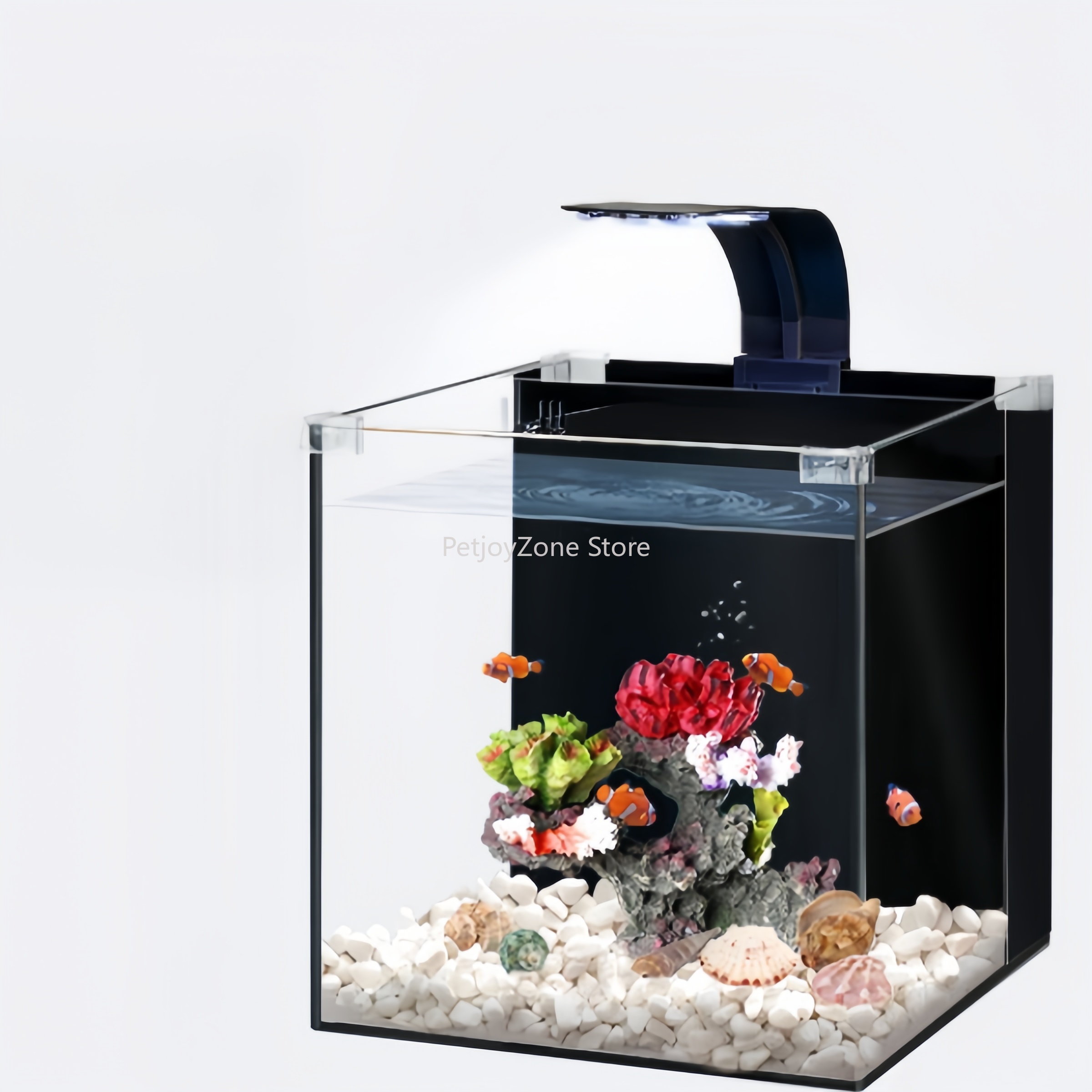 حوض أسماك فاخر من الزجاج فائق  - مراجعة Marine Aquarium In Clearwater وسعره