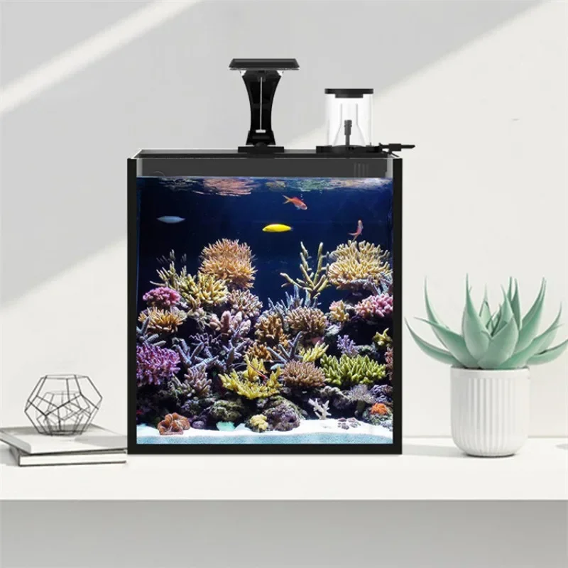 حوض أسماك بحرية صغير من الزجاج - مراجعة Marine Aquarium In Clearwater وسعره