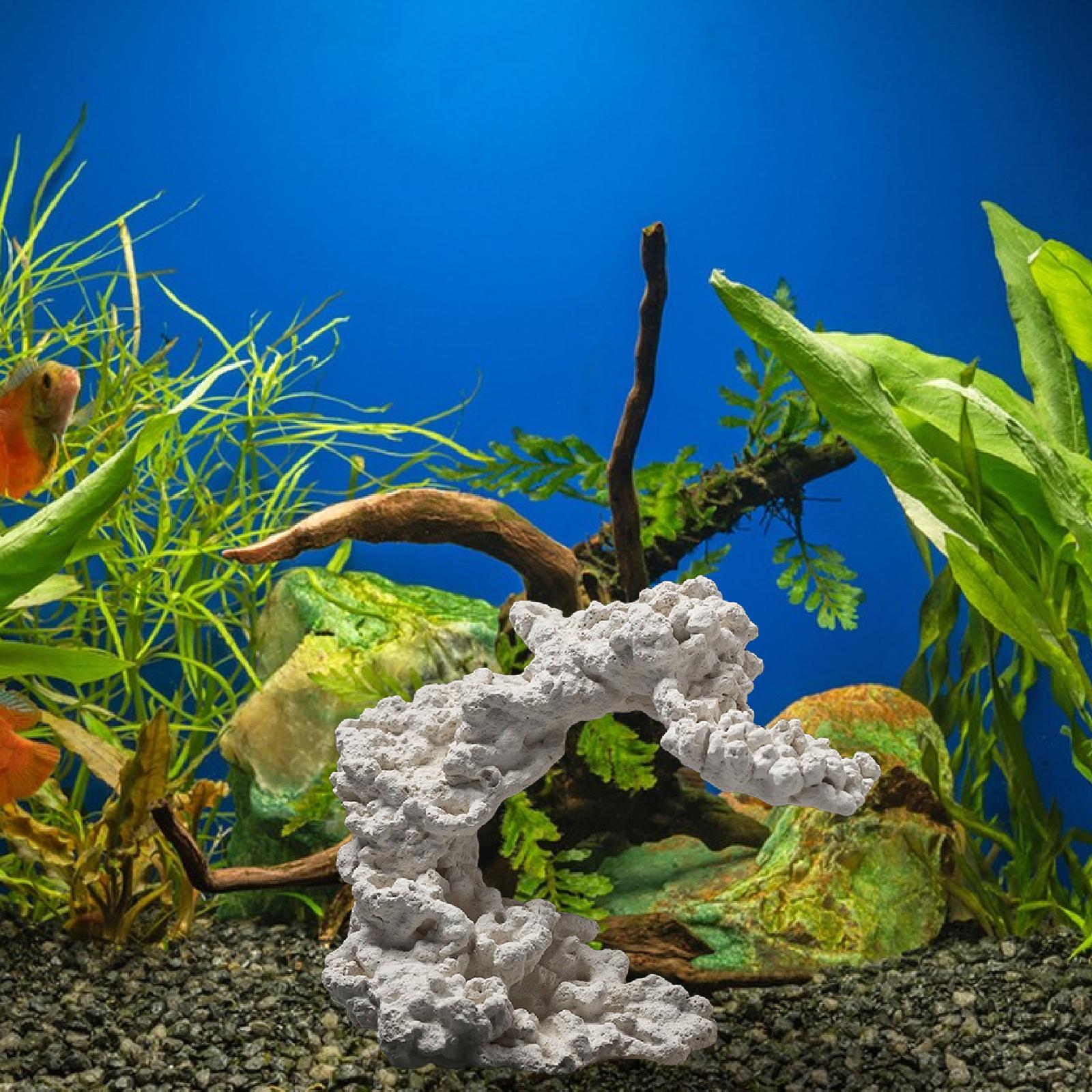 حوض السمك تربية مخبأ زخرفة حوض - مراجعة Marine Aquarium Aquascape وسعره