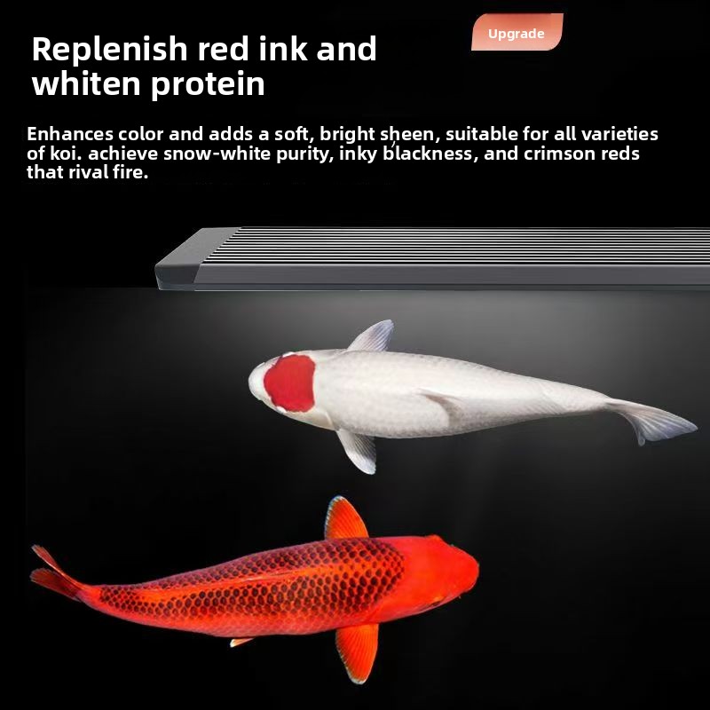 إضاءة LED لأحواض السمك مع نظام - مراجعة Marine Aquarium In Clearwater وسعره
