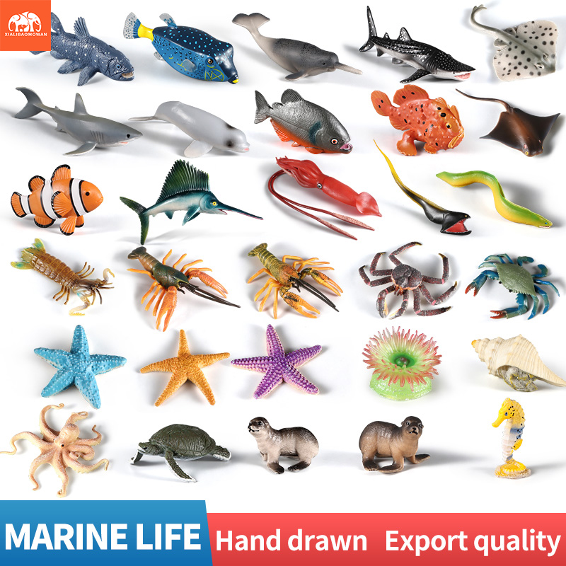 مجموعة شخصيات حيوانات البحر -  - مراجعة Marine Aquarium Aquascape وسعره